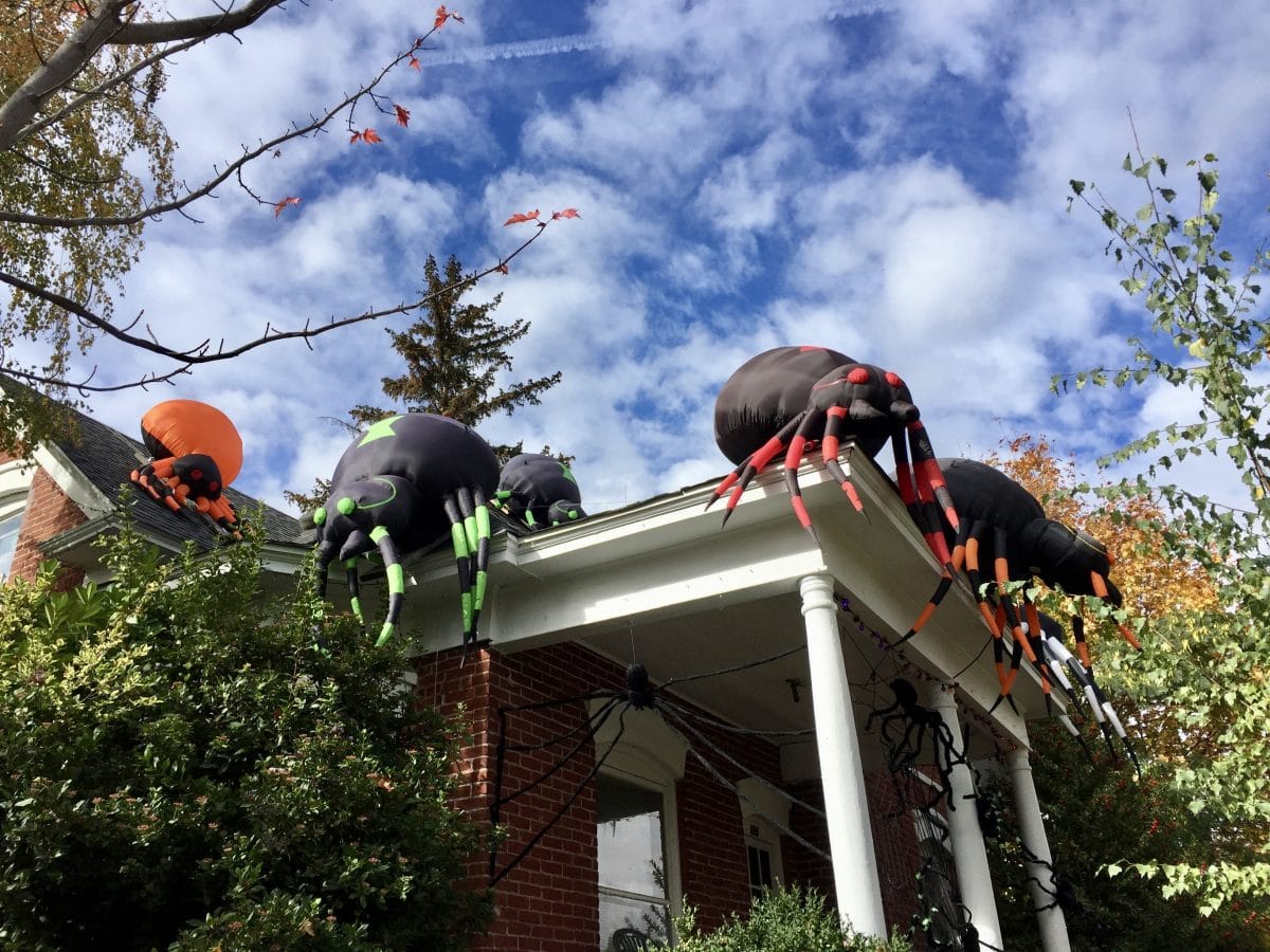 Ashland Halloween Decorations Walk Ashland