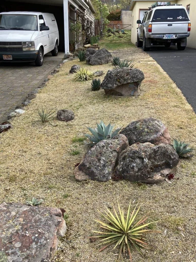 Parker Street garden.
