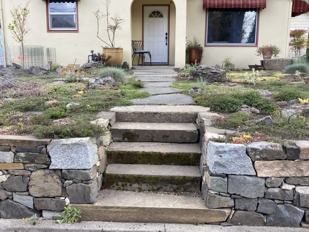 Parker Street garden.