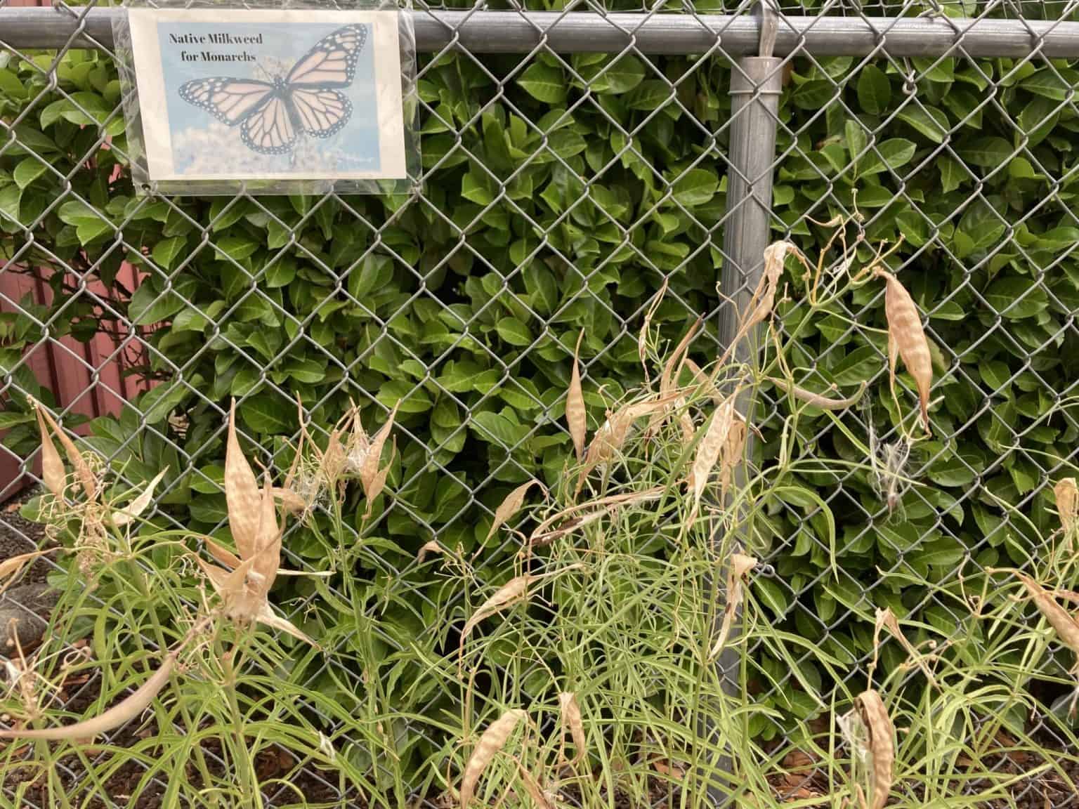 Blue Sky Lane and Apple Way Walk Ashland