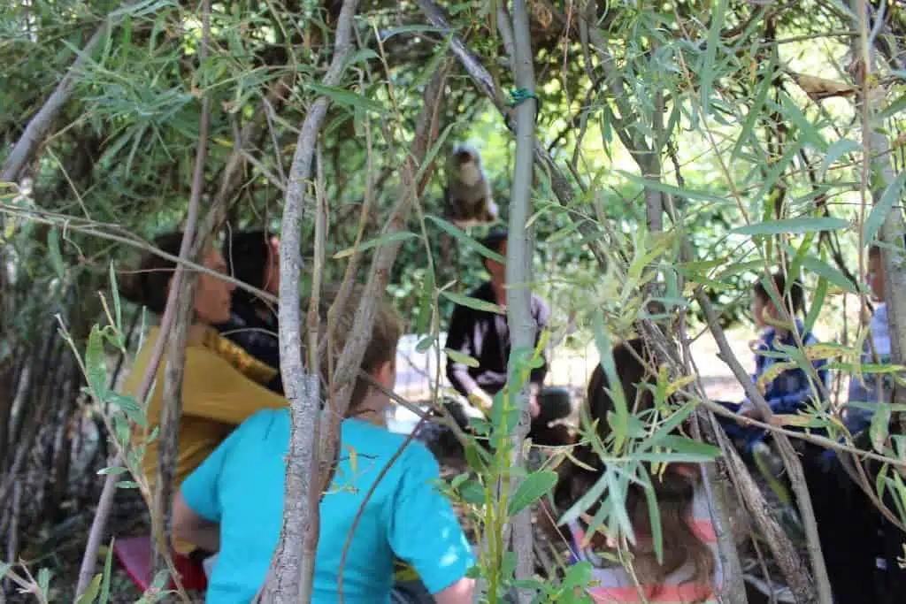 School group inside the Living Willow Hut.