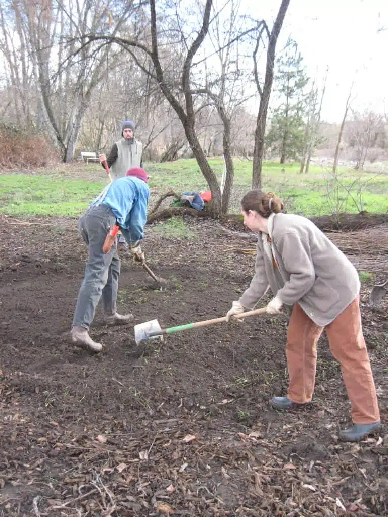 Preparing the ground for the Living Willow Hut.