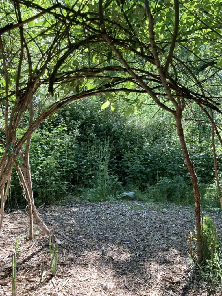 Looking out the door of the Living Willow Hut during summertime, in 2021.