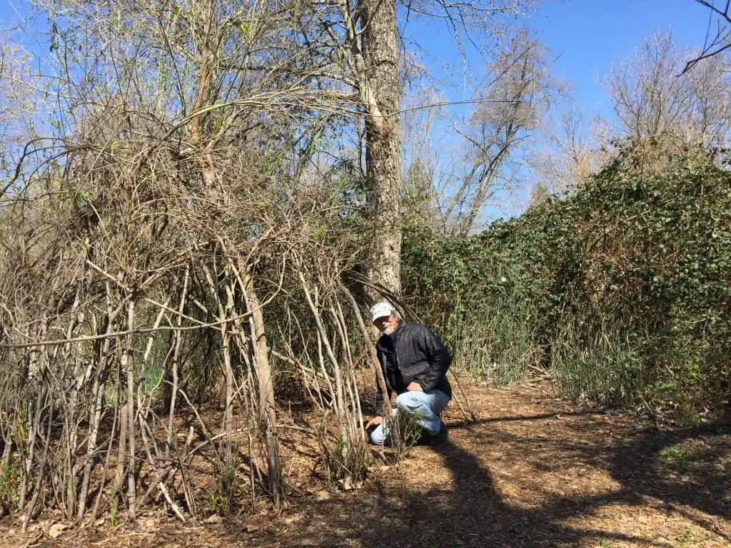 Peter Finkle at the Living Willow Hut in spring 2021.
