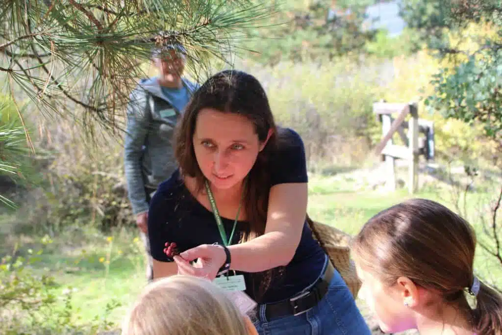 Libby is making manzanita tea with a school group inside the Living Willow Hut.