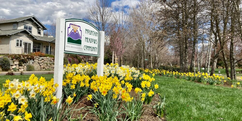 Mountain Meadows Community sign