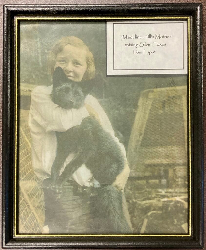 Madeline Hill's mother Lillian as a child in Alaska, "raising Silver Foxes from Pups."