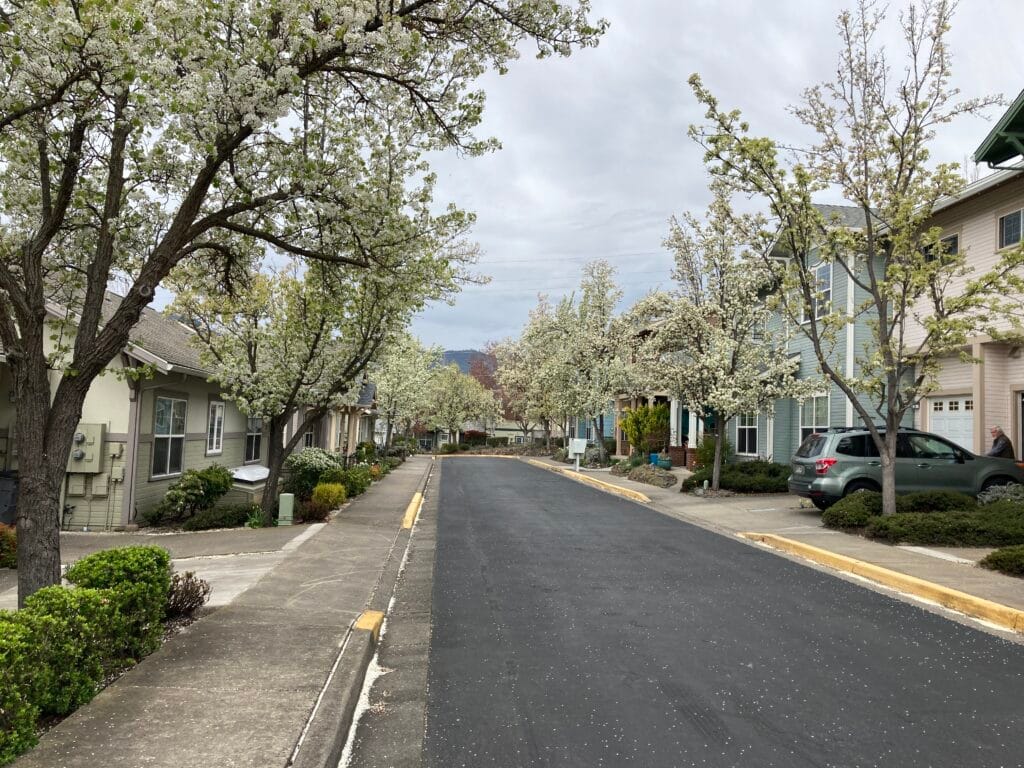 This is the uphill side of U-shaped Boulder Creek Lane, in April.