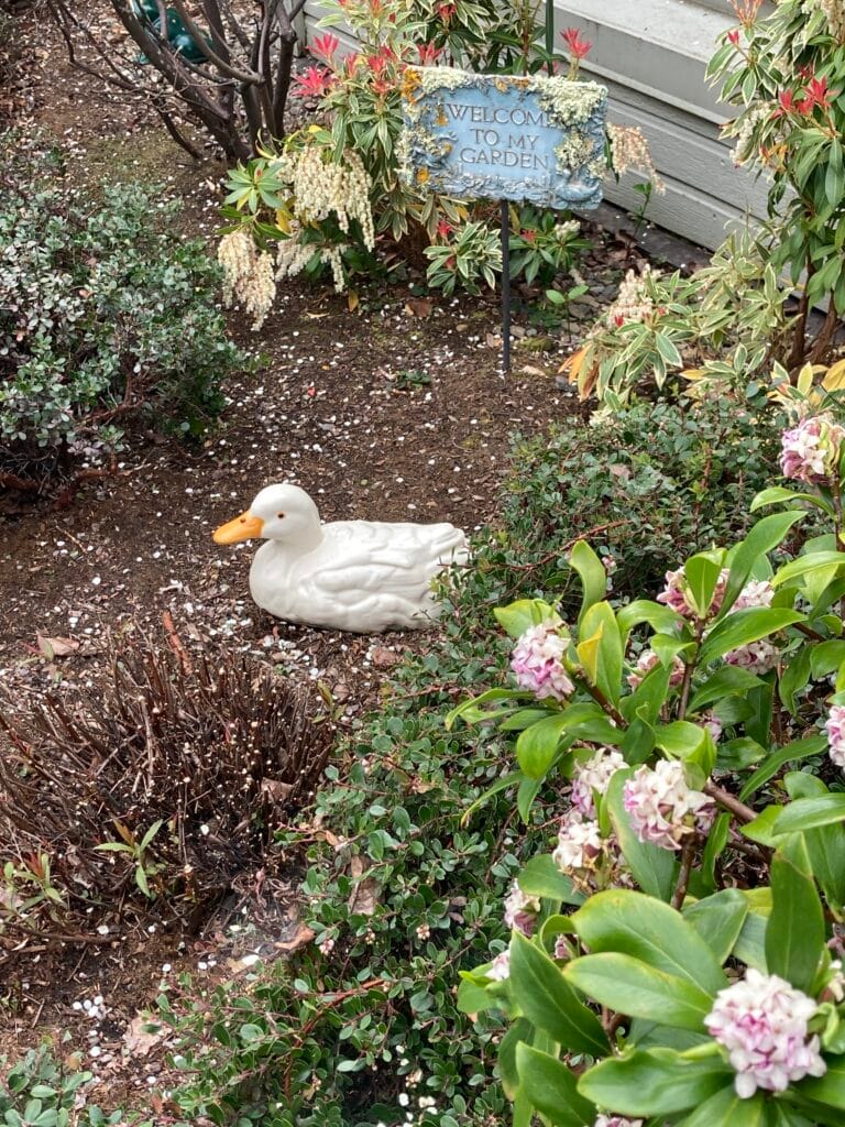 Flowers, duck, and a "Welcome" on Boulder Creek Lane.