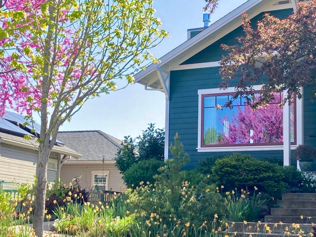 One of my "artistic" photos shows the reflection of a Redbud tree in the window.