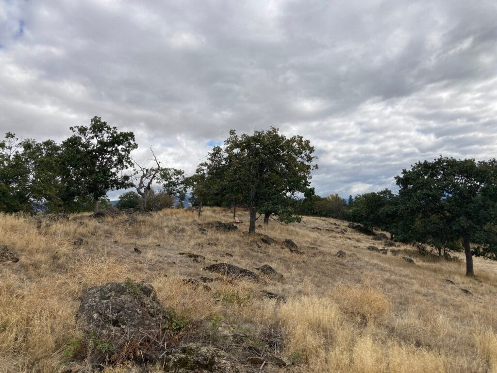 Lord Property park land (6.6 acres) south side of Nepenthe Road, with bench to sit on visible in center of photo.