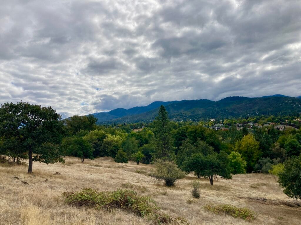 Lord Property park land (6.6 acres) south side of Nepenthe Road.