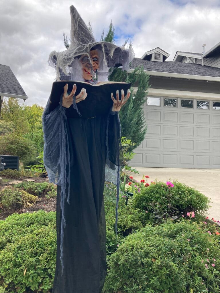 A dramatic Halloween witch on Creek Stone Way.