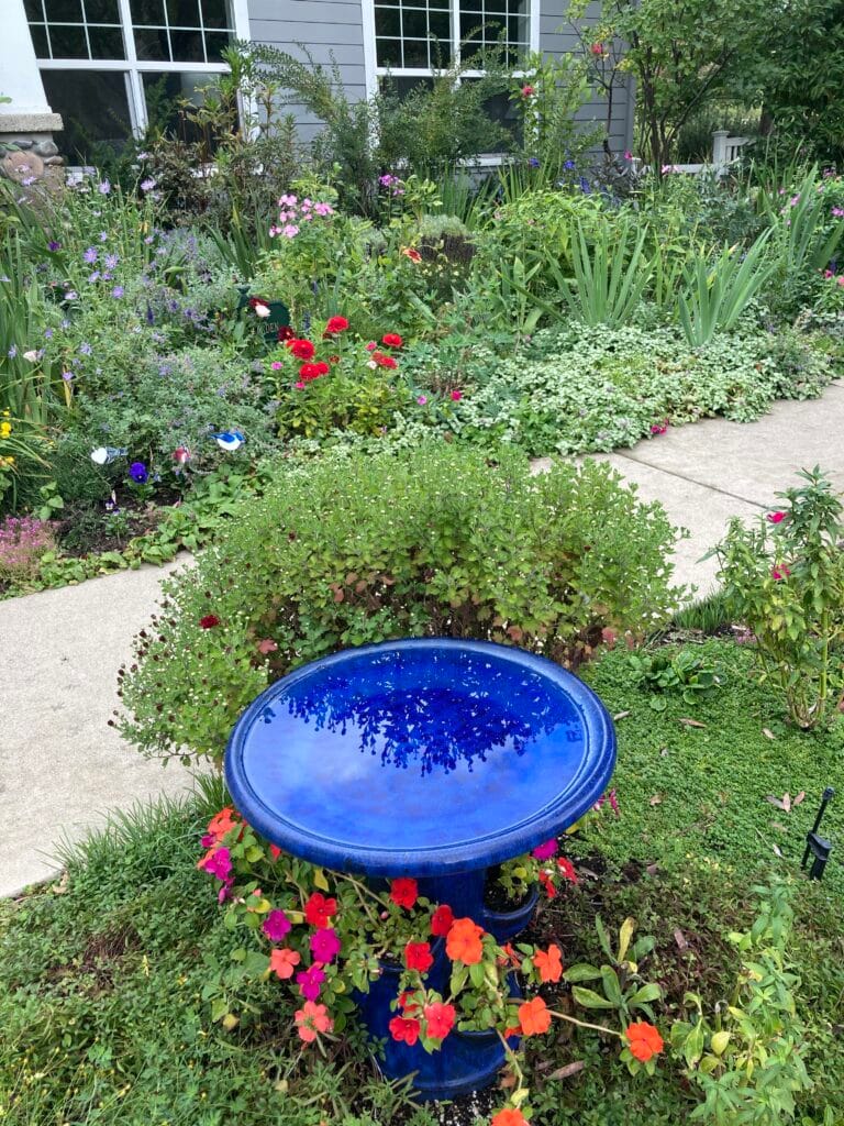 Creek Stone Way April 2025 Garden of the Month is also beautiful in October - it has colors, textures, reflections, an uplifting sight. reflections, all beautiful.