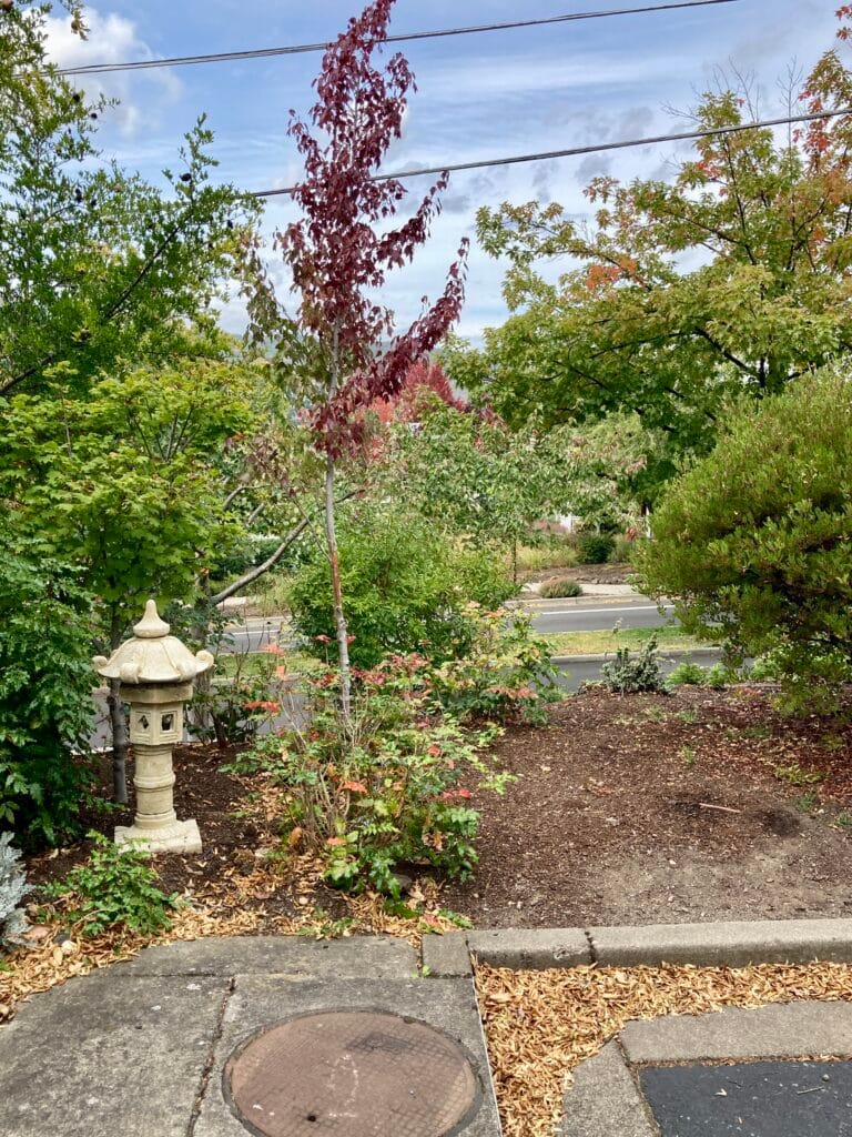 You can see North Mountain Avenue from the end of Cobblestone Court.