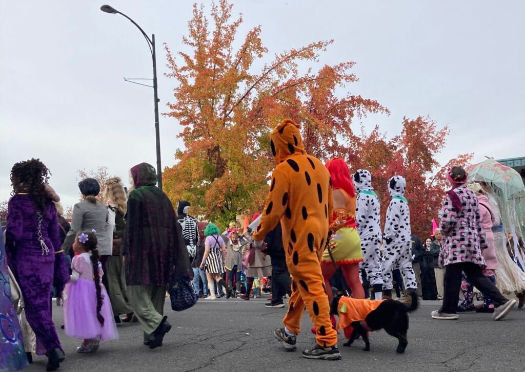 Ashland Children's Halloween parade 2025 - looks like a leopard or jaguar with matching dog.