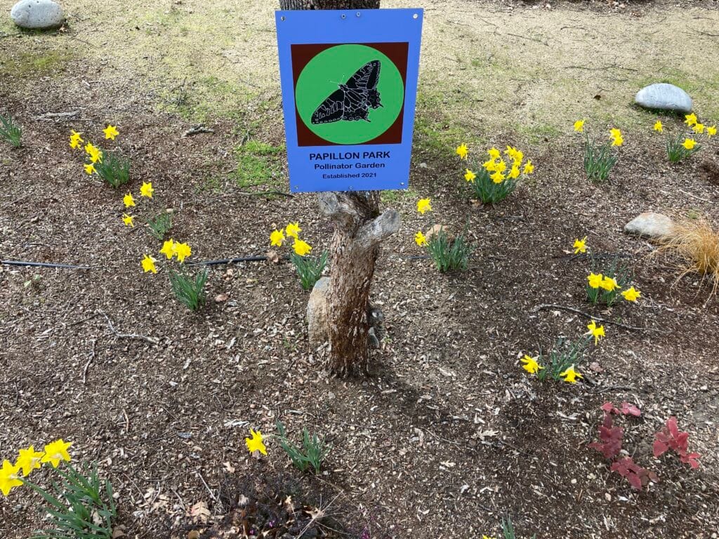 Papillon Park on Meadowlark Way, a pollinator garden and small pocket park.