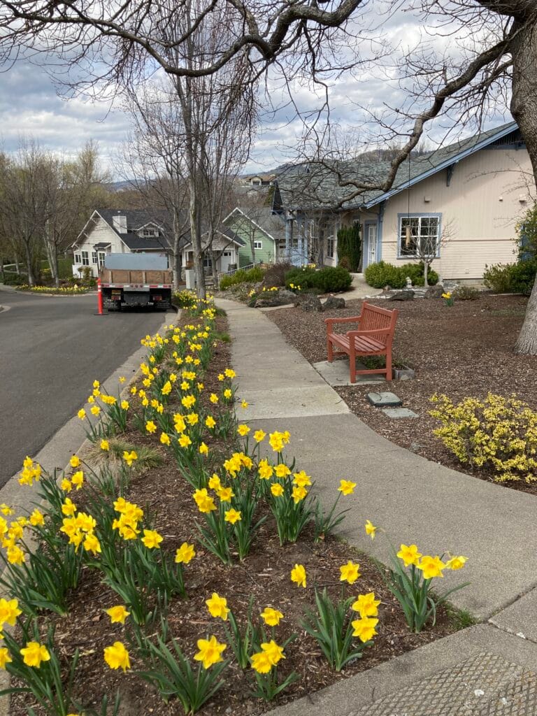 An April photo of Meadowlark Way from Nepenthe Road, with a bench for strollers.