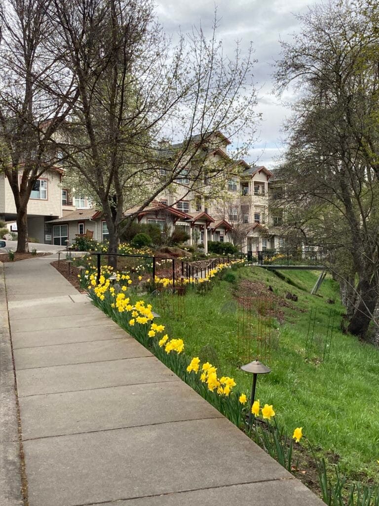 Lovely path from Mountain Meadows Drive to the Cottonwood condominiums.