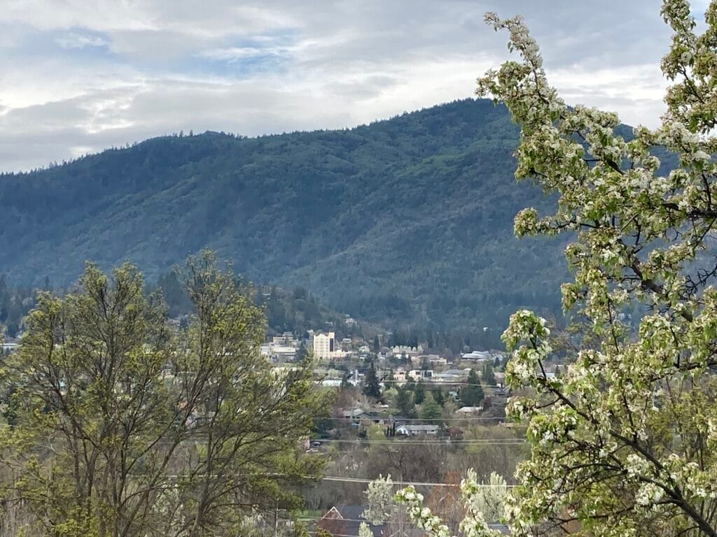 There is also a view of the Ashland Springs Hotel and downtown Ashland from the Clubhouse balcony.