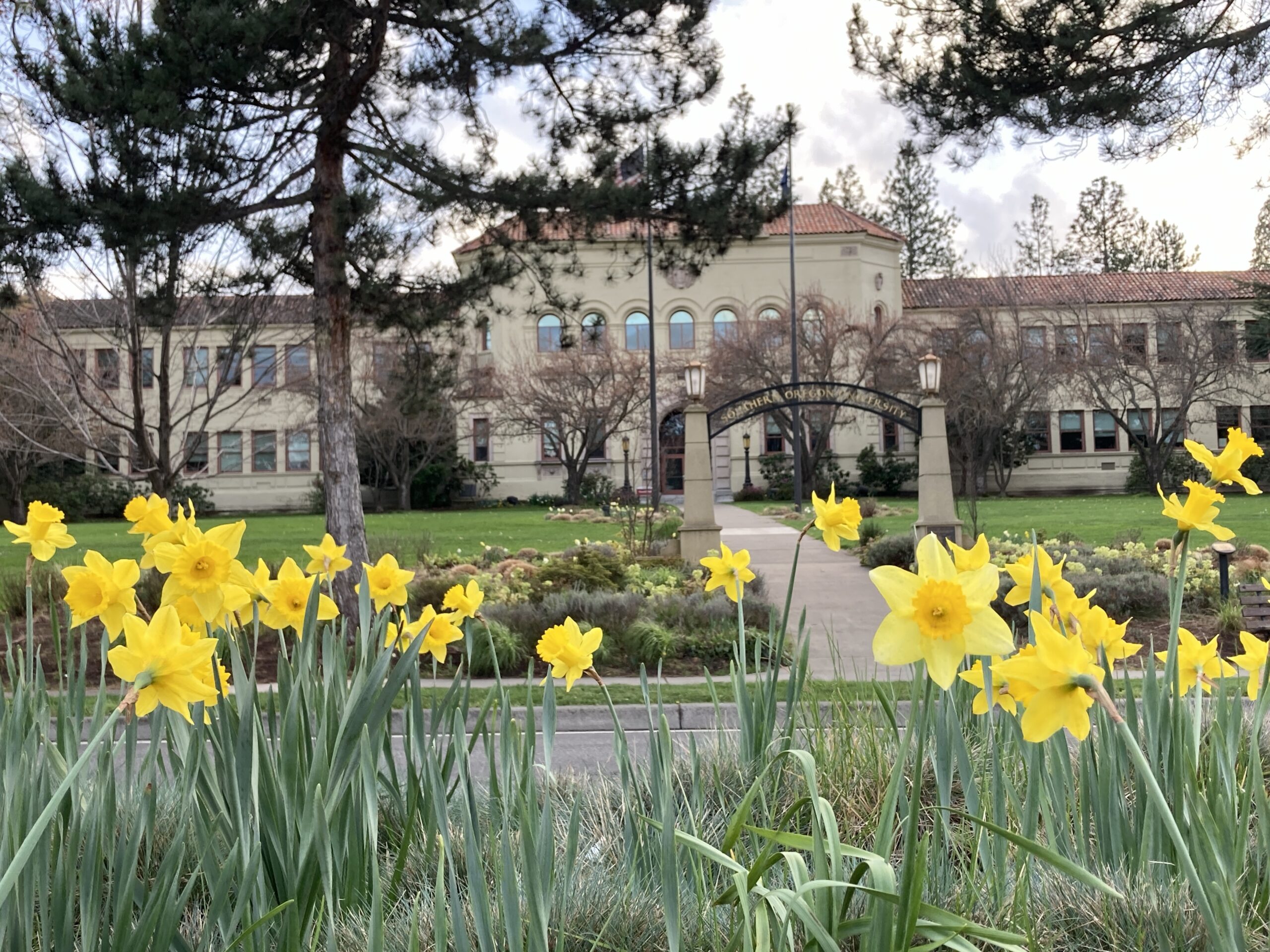 Flowers in Ashland begins with SOU Churchill Hall and spring daffodils.