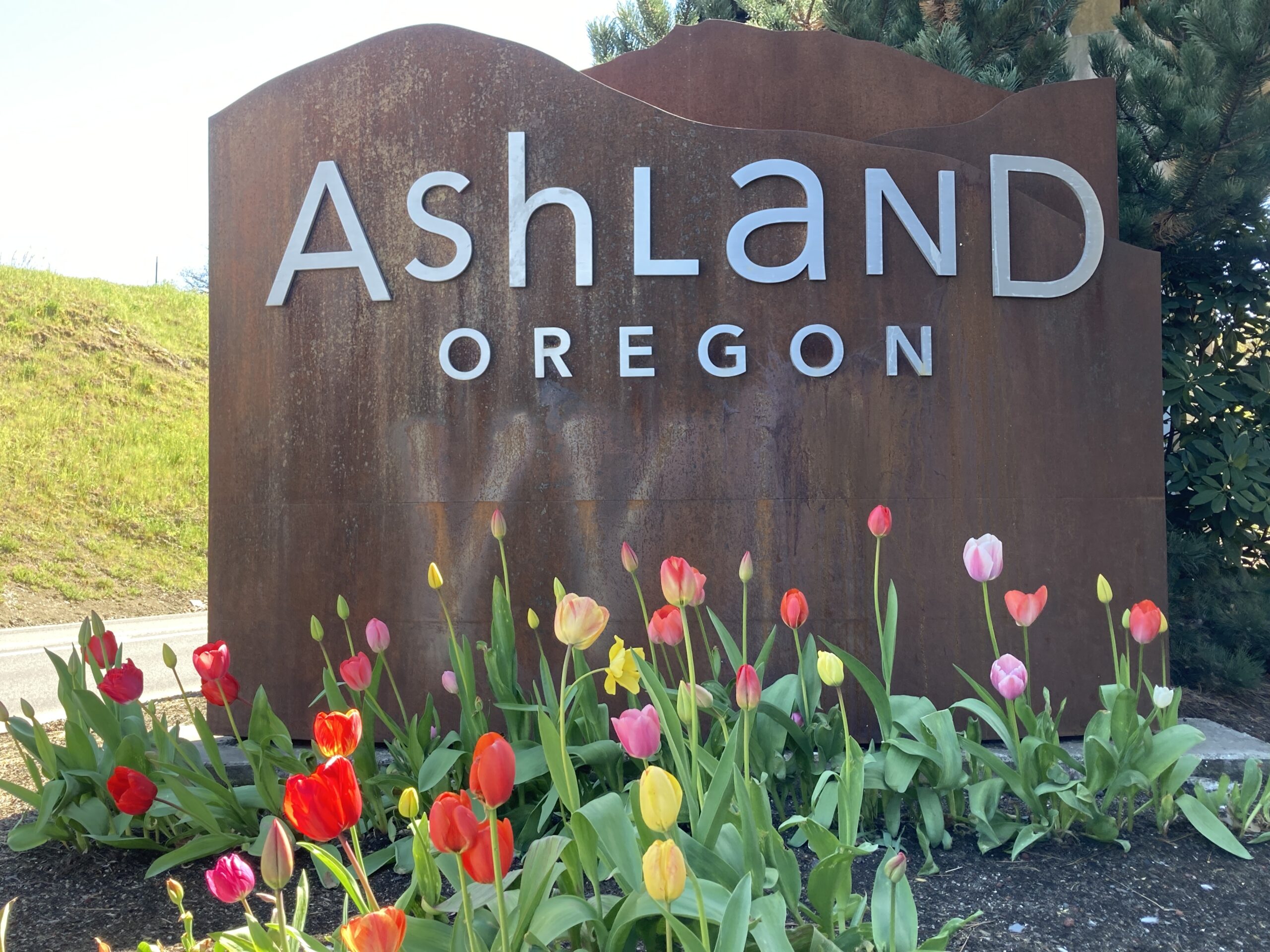 Welcoming spring tulips at the Ashland entry sign on North Main Street, April 2024
